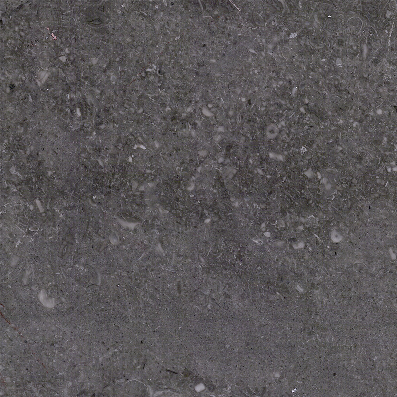 M1616 Shell Grey