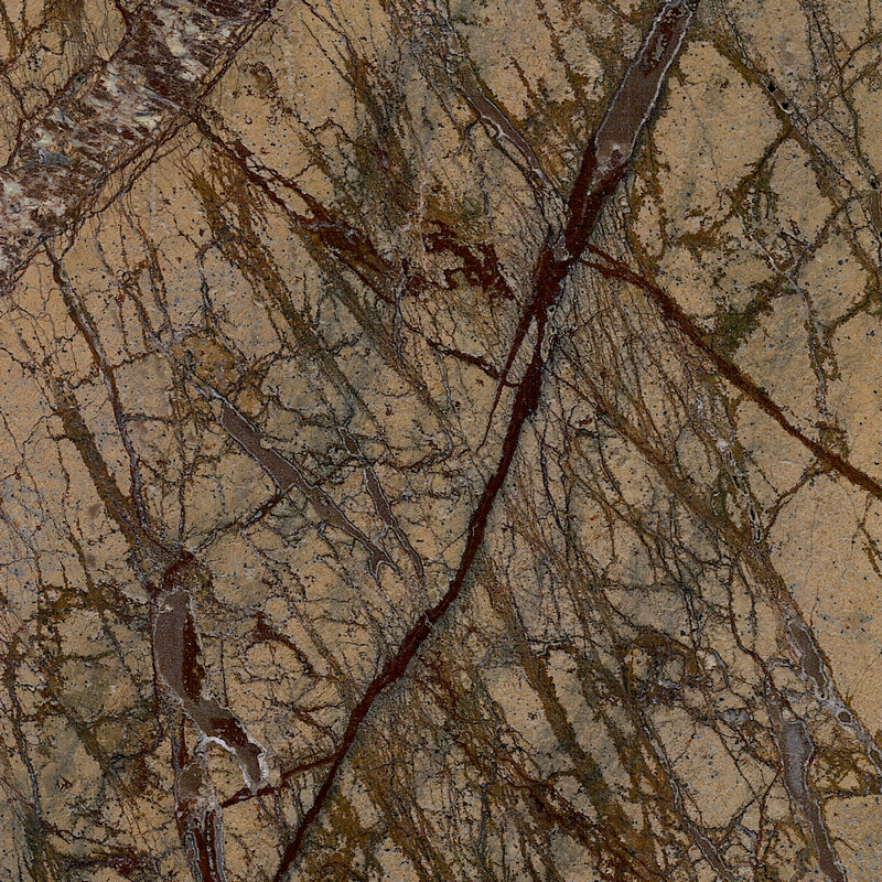Rain Forest Green