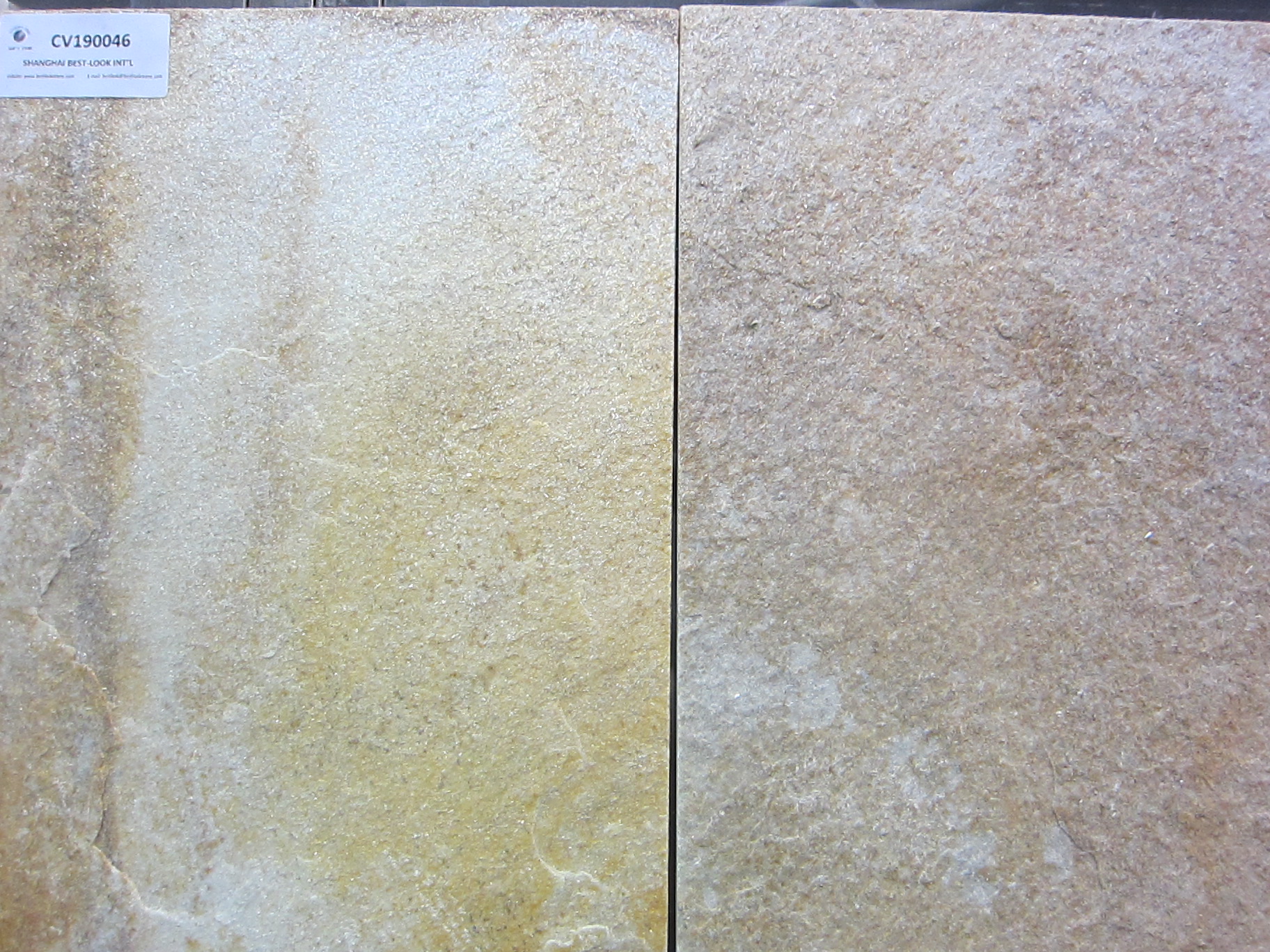 CV190046-S1318 GOLDEN GALAXY(QUARTZITE)